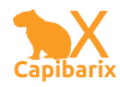 Logo Capibarix con letras fondo transparente naranja
